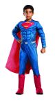 Costume Dawn of Justice Deluxe Muscle Chest Superman Costume Small