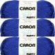 Caron Simply Soft Party Yarn Royal Sparkle Pack of 3 Skeins