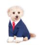 Business Suit Pet Costume Meduim