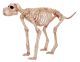Skeleton Dog Bruiser Bonez