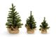 Christmas Floral Canadian Tree With Burlap Base 32 Tips 6 Inches