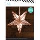 Paper Lanternsmedium Star Copper