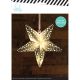 Paper Lanterns Medium Star Gold