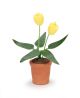 Timeless Minis Pot With Yellow Tulips 0.5 X 1.625 Inches