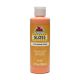 Apple Barrel Gloss Pumpkin Orange 8 oz.