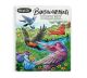 Crayola Bird Watching Coloring Book