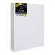 Studio 71 Medium Weight Stretched Canvas Value Pack ?6 X 20 Inches Canvas For Oil