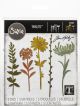 Sizzix Thinlits Dies By Tim Holtz Wildflower Stems 1 Pack of 5 Piece