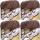 Spinrite Lily Sugar n Cream Yarn Ombres Terra Firma Pack of 4 Skein