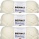 Spinrite Bernat Roving Yarn Rice Paper Pack of 3 Skein