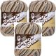 Spinrite Lily Sugar n Cream Yarn Ombres Super Size Earth Ombre Pack of 3 Skein