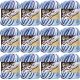 Spinrite Lily Sugar n Cream Yarn Ombres Super Size Moondance Pack of 12 Skein