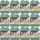 Spinrite Lily Sugar n Cream Yarn Ombres Psychedelic Pack of 12 Skein