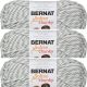 Spinrite Bernat Softee Chunky Yarn Grey Ragg Pack of 3 Skein