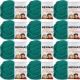 Spinrite Bernat Softee Chunky Yarn Emerald Pack of 12 Skein