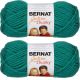 Spinrite Bernat Softee Chunky Yarn Emerald Pack of 2 Skein