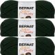 Spinrite Bernat Softee Chunky Yarn Dark Green Pack of 3 Skein