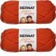 Spinrite Bernat Softee Chunky Yarn Pumpkin Pack of 2 Skein