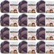 Spinrite Bernat Softee Chunky Ombre Yarn Shadow Pack of 12 Skein
