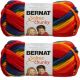 Spinrite Bernat Softee Chunky Ombre Yarn School Yard Pack of 2 Skein