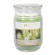 All Things You Large Jar Candles Evergreen 17 oz