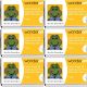 Spinrite Wonderart Latch Hook Kit 12inchX12inch Froggy 1 Pack of 6 Piece