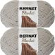 Spinrite Bernat Blanket Big Ball Yarn Pale Grey Pack of 2 Skein