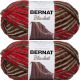 Spinrite Bernat Blanket Big Ball Yarn Raspberry Trifle Pack of 2 Skein