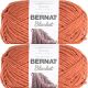 Spinrite Bernat Blanket Big Ball Yarn Pumpkin Spice Pack of 2 Skein