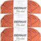Spinrite Bernat Blanket Big Ball Yarn Pumpkin Spice Pack of 3 Skein