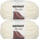 Spinrite Bernat Blanket Big Ball Yarn Vintage White Pack of 2 Skein