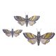 Wall D?or Martha Stewart Crafts Moth Decorations Gold Foil And Vellum