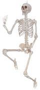5Ft Skeleton Pose And Hold Tag
