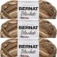 Spinrite Bernat Blanket Yarn Sonoma Pack of 3 Skein