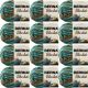 Spinrite Bernat Blanket Yarn Mallard Wood Pack of 12 Skein