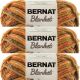 Spinrite Bernat Blanket Yarn Fall Leaves Pack of 3 Skein