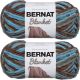 Spinrite Bernat Blanket Yarn Coastal Cottage Pack of 2 Skein
