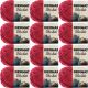 Spinrite Bernat Blanket Yarn Cranberry Pack of 12 Skein