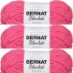 Spinrite Bernat Blanket Brights Yarn Pixie Pink Pack of 3 Skein