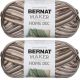 Spinrite Bernat Bernat Maker Home Dec Yarn Pebble Beach Pack of 2 Skein
