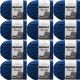 Spinrite Bernat Blanket Big Ball Yarn Lapis Coastal Collection Pack of 12 Skein