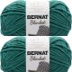 Spinrite Bernat Blanket Big Ball Yarn Malachite Coastal Pack of 2 Skein