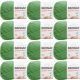 Spinrite Bernat Softee Baby Yarn Grass Green Pack of 12 Skein