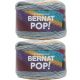 Spinrite Bernat Pop Yarn Foggy Notion Pack of 2 Skein