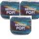 Spinrite Bernat Pop Yarn Birch Bark And Blue Pack of 3 Skein