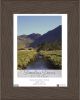 Timeless Decor Shea 5 X 7 Wood Picture Frame Espresso