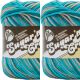 Spinrite Lily Sugar n Cream Yarn Ombres Super Size Pebble Beach Pack of 2 Skein