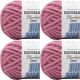 Spinrite Bernat Blanket Extra Yarn Burnt Rose Pack of 4 Skein