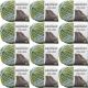 Spinrite Bernat Blanket Big Ball Yarn Forest Sage Pack of 12 Skein