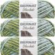 Spinrite Bernat Blanket Big Ball Yarn Forest Sage Pack of 3 Skein